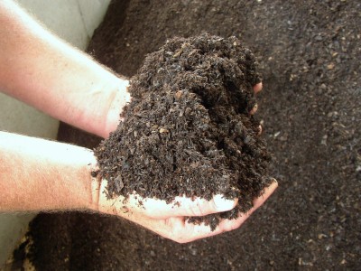 soil2.jpg
